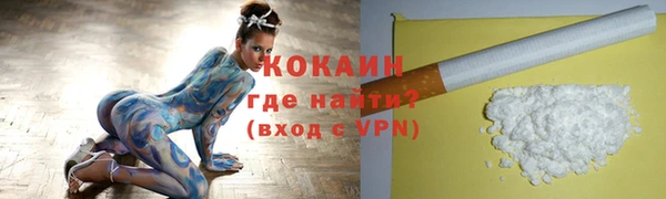 PSILOCYBIN Вязьма