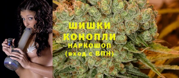 PSILOCYBIN Вязьма