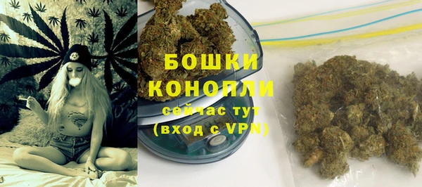 PSILOCYBIN Вязьма